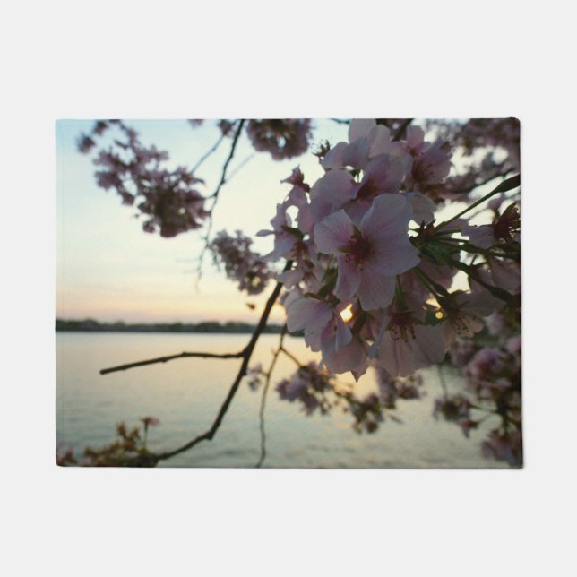 Tapete Cherry Blossom Sunset em Washington DC (Frente)
