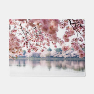Tapete Cherry Blossoms
