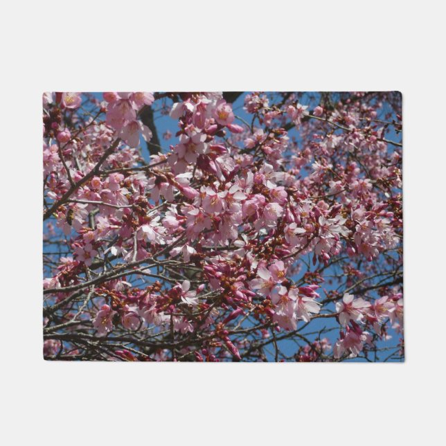 Tapete Cherry Blossoms e Blue Sky Primavera Floral (Frente)