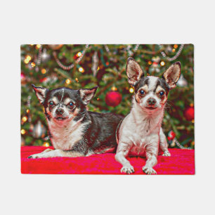 Tapete Chihuahua do Natal