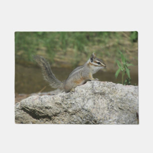 Tapete Chipmunk do penhasco