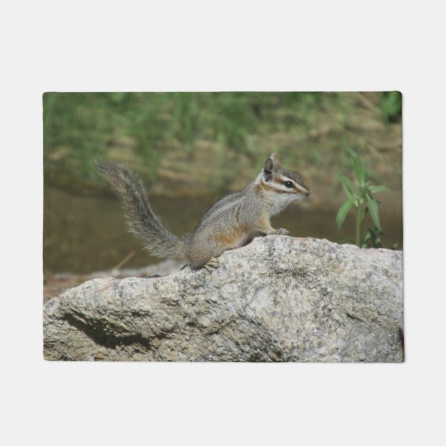 Tapete Chipmunk do penhasco (Frente)