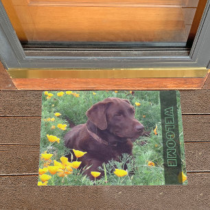 Tapete Chocolate Labrador Cachorro de Retriever Cachorro