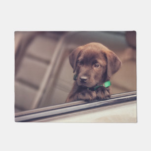 Tapete Chocolate Labrador Pupido No Carro