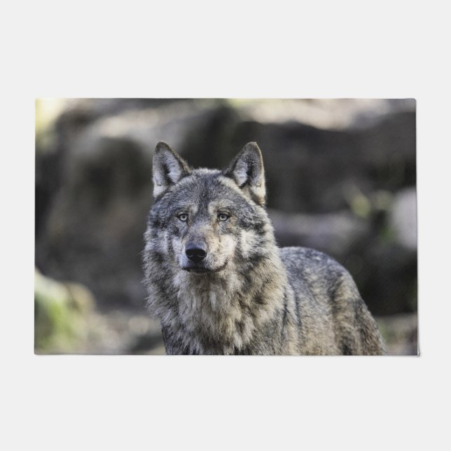 Tapete Cinza Wolf (Frente)