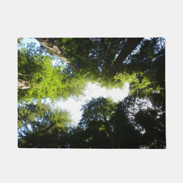 Tapete Círculo de Árvores Redwood no Parque Nacional Redw (Frente)