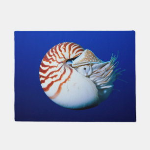 Tapete Close-Up de Nautilus-Camarado