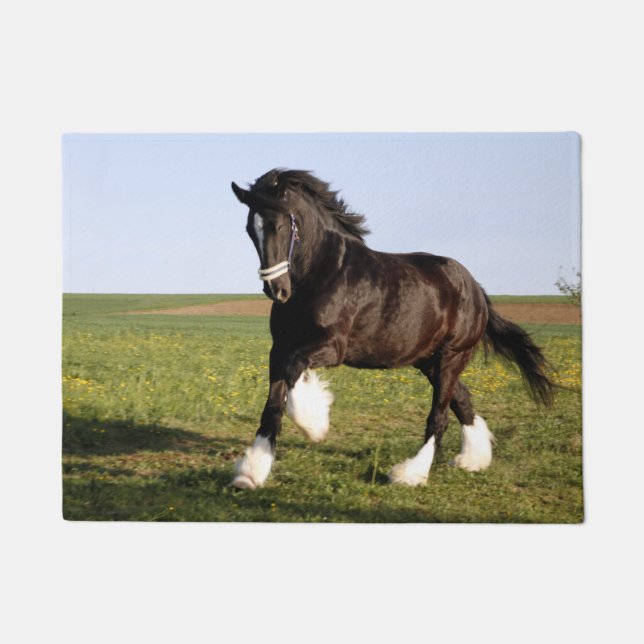 Tapete Clydesdale Horse (Frente)