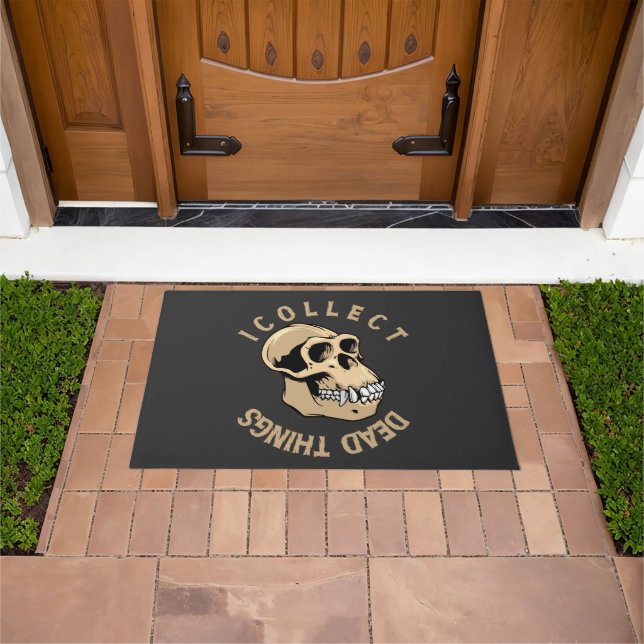 Tapete Coleciono Coisas De Morto Engraçadas Com Taxidermi (Ar livre)