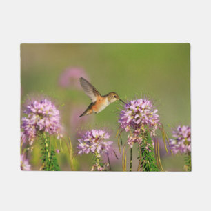 Tapete Colibri e Wildflowers