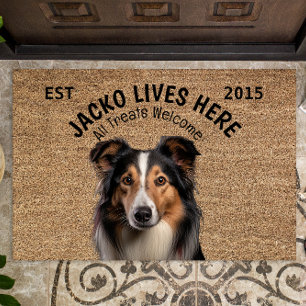 Tapete Collie Pet Personalizado