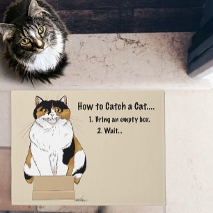 Tapete Como pegar um gato