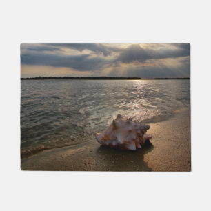 Tapete Conch Shell na praia St Augustine, Fl