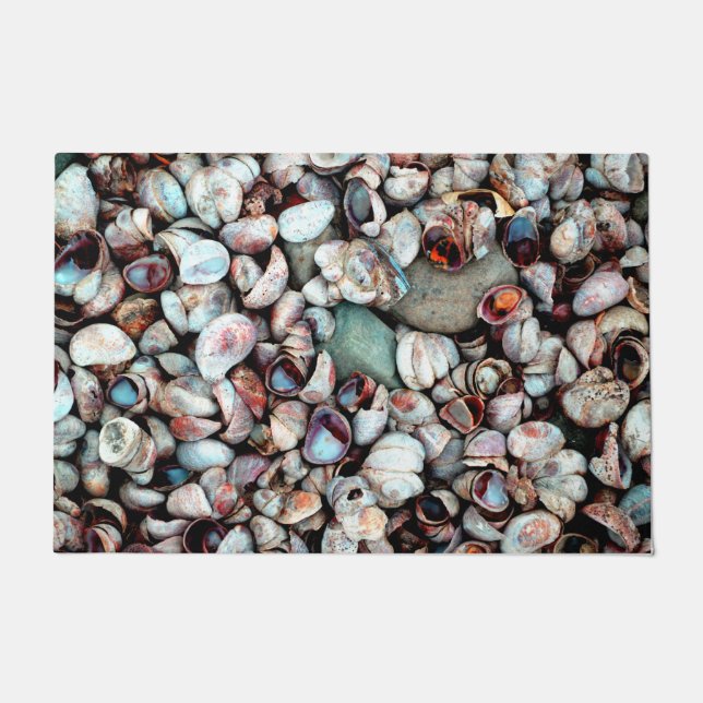 Tapete Conchas (Frente)