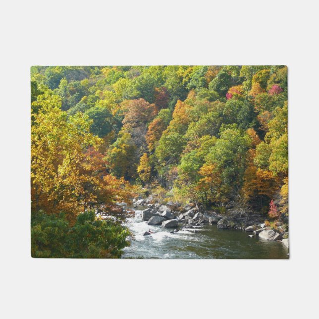 Tapete Cor de queda no Parque Estadual de Ohiopyle (Frente)