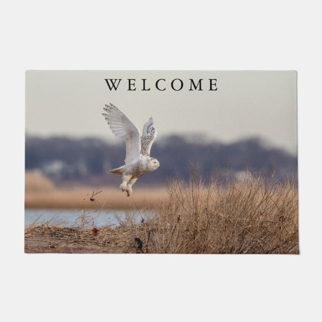 Tapete Coruja de neve decolando (Frente)