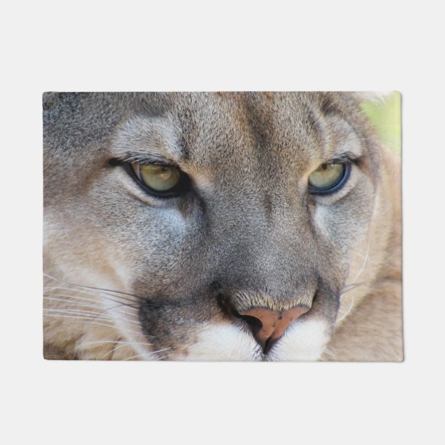 Tapete Cougar / Pantera da Flórida / Puma - Porta (Frente)