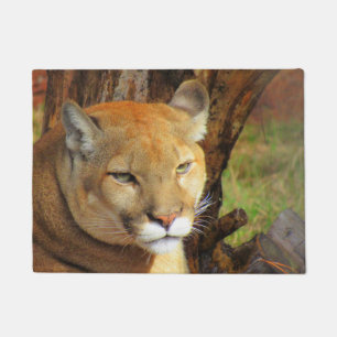 Tapete Cougar / Pantera Flórida / Porta Puma