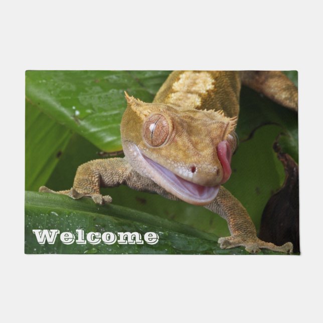 Tapete Crested Gecko (Frente)