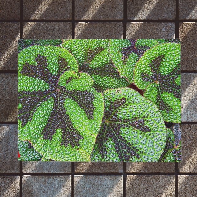 Tapete Cruz de Ferro Begonia Floral (In Situ)