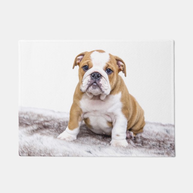 Tapete Cute Bulldog Puppy (Frente)