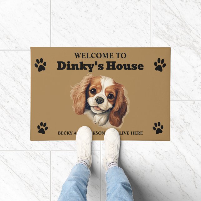 Tapete Cute Cavalier King Charles Spaniel (Interior)