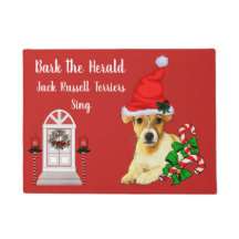 Cute Jack Russell Terrier Natal