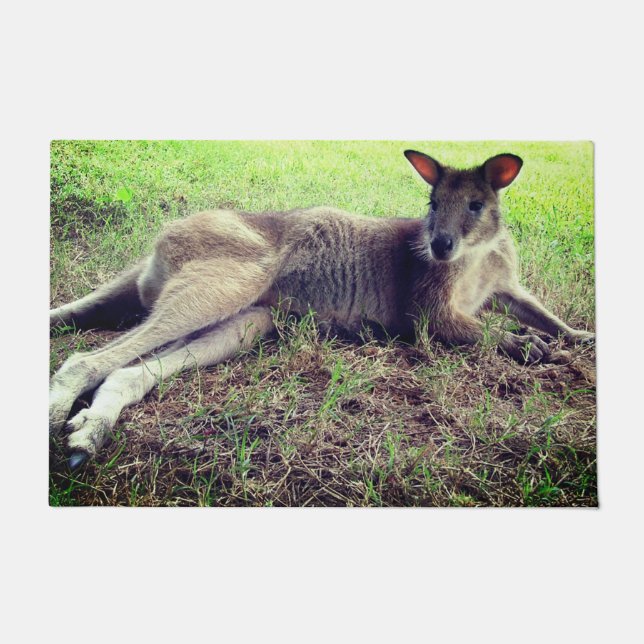 Tapete Cute Kangaroo (Frente)