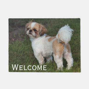Tapete Cutest Shih Tzu