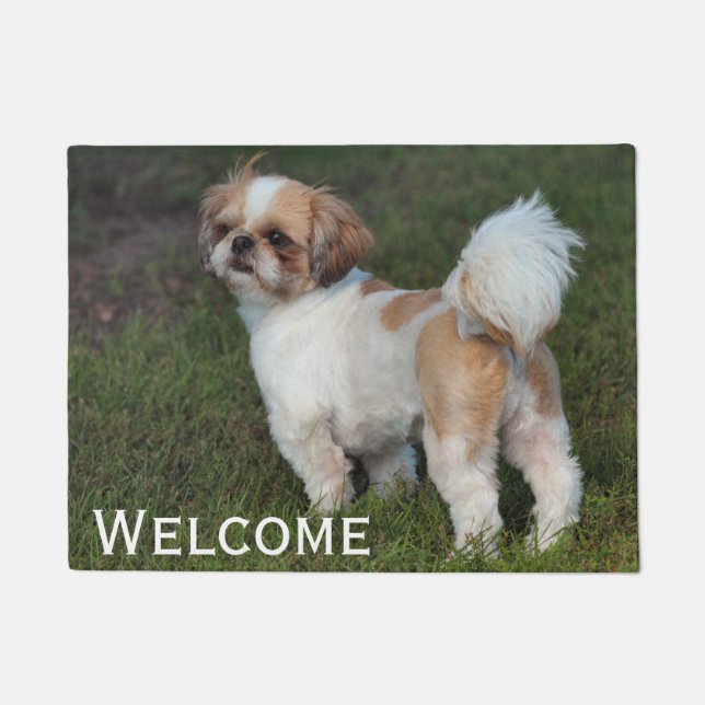 Tapete Cutest Shih Tzu (Frente)