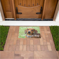 Dachshund