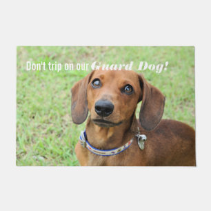 Tapete Dachshund