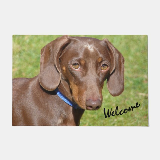 Tapete Dachshund  doormat (Frente)