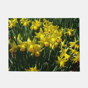 Tapete Daffodils Amarelos I Flores De Mola Cheery