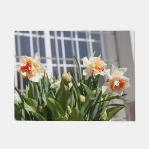 Tapete Daffodils fodils fodils primavera