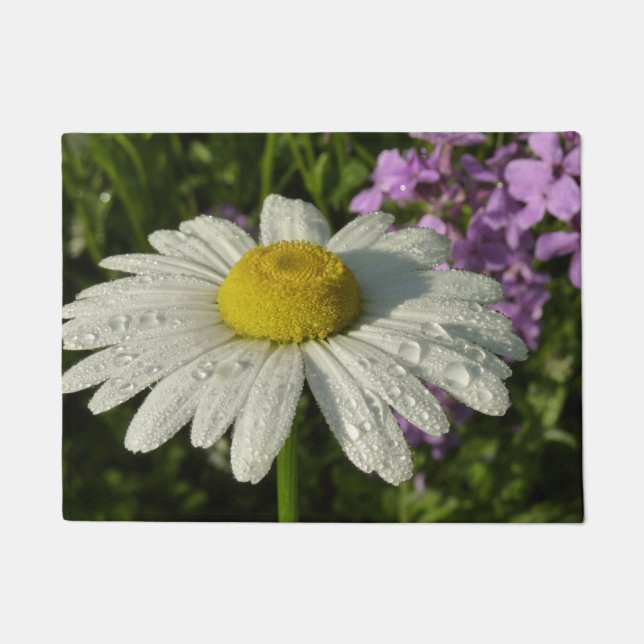 Tapete Daisy e Summer Lilac Wildflower (Frente)
