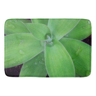 Tapete De Banheiro Agave e Raindrops