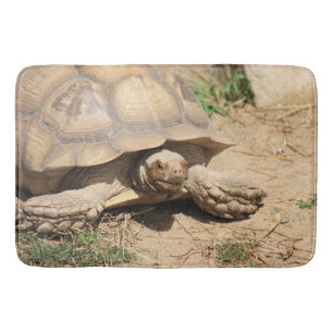 Tapete De Banheiro Ala Aldabra