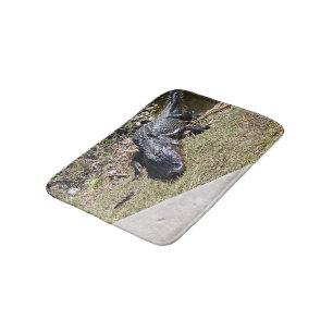 Tapete De Banheiro Alligatior No Everglades