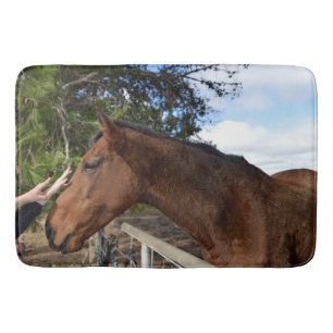 Tapete De Banheiro Amigo do Cavalo para sempre, Banheira de Espuma de