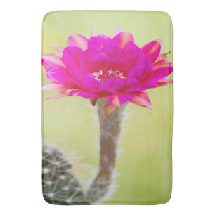 Tapete De Banheiro Antimatéria excitante Cactus Bloom