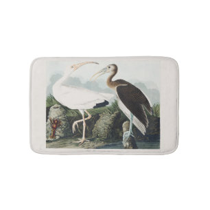 Tapete De Banheiro Arte da Natureza da Ave Íbis-Branca de Audubon Vin