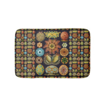 Ascidiae por Ernst Haeckel, Animais Marinhos Antig