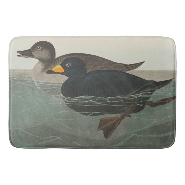 Tapete De Banheiro Audubon American Scoter Duck Classic (Frente)