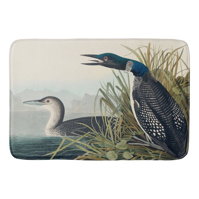 Tapete De Banheiro Audubon Bird Loon Diver Classic (Frente)