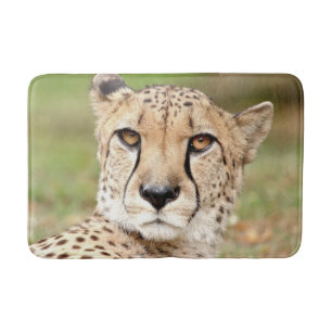 Tapete De Banheiro Bath Mat Photo guepard cat, animais.