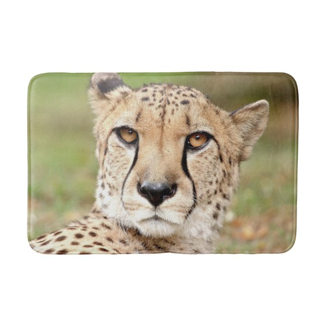 Tapete De Banheiro Bath Mat Photo guepard cat, animais. (Frente)