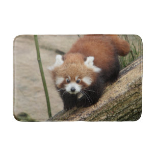 Tapete De Banheiro Bath Mat Photo red panda, animais 0127.
