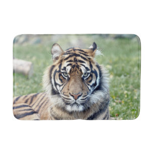 Tapete De Banheiro Bath Mat Photo tiger cat, animais.
