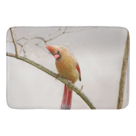 Tapete De Banheiro Bathmat Cardinal Curiosa